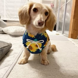 チーママさんの作品