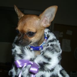 さちママさんの作品