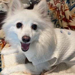 WKSchatzさんの作品