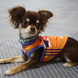 たーやさんの作品