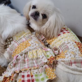 おとしらママさんの作品