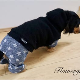 やすやすさんの作品