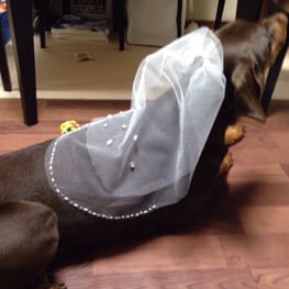 Aliceさんの作品