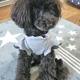 ちゃちゃさんの作品