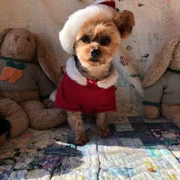 Keyakiさんの作品