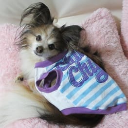 はるさんの作品