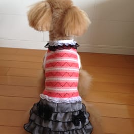 らくすさんの作品