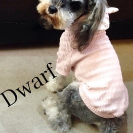 Dwarfさんの作品