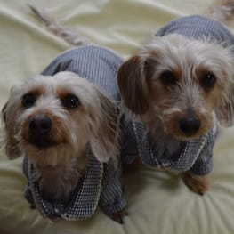 ひなはなさんの作品