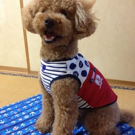 かんれいさんの作品