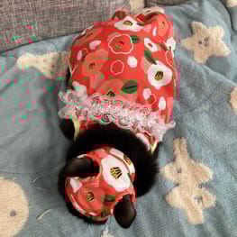 やっちゃんさんの作品