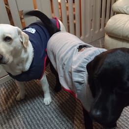 YRママさんの作品