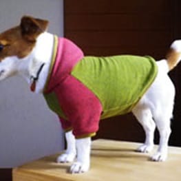 SAiKiさんの作品