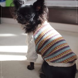 ひーさんの作品