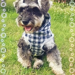 るぅなさんの作品