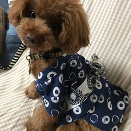 Dankeさんの作品