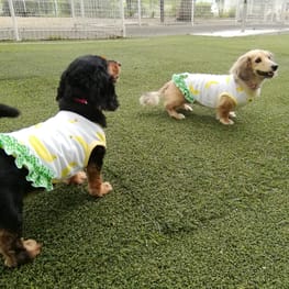 モコさんの作品