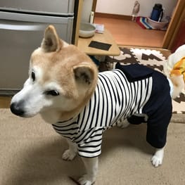 ごみさんの作品