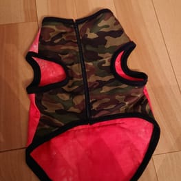 ぱんだ。さんの作品