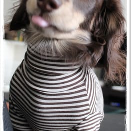 akizoo88さんの作品