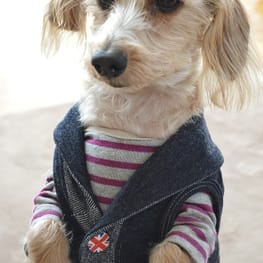 ひなはなさんの作品