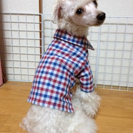 LabiOliママさんの作品