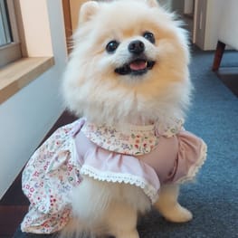 ワンピース/millacra / 愛犬のための犬服の作り方・型紙通販
