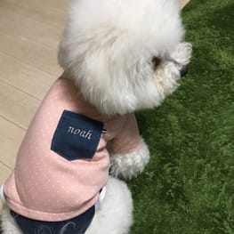 みちもこさんの作品