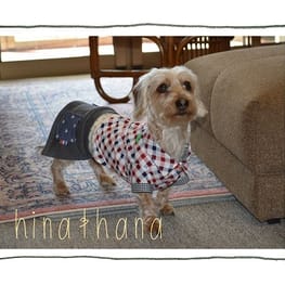 ひなはなさんの作品