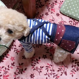 空*花さんの作品