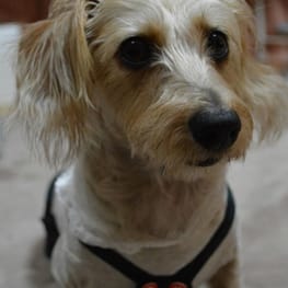 ひなはなさんの作品