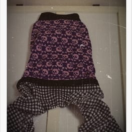 ganmoslabさんの作品