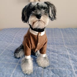 Lea&Miaさんの作品