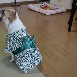 うめきちさんの作品