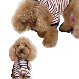 M・trueさんの作品