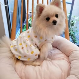 にこママさんの作品