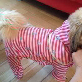 かよママさんの作品