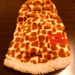 ぷっちょんさんの作品