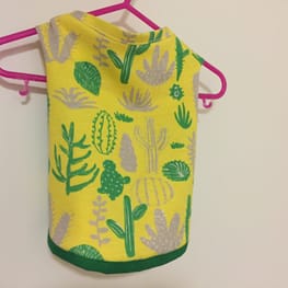 Coconutさんの作品