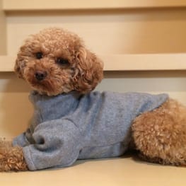 カッチンさんの作品