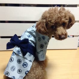 ちょここさんの作品