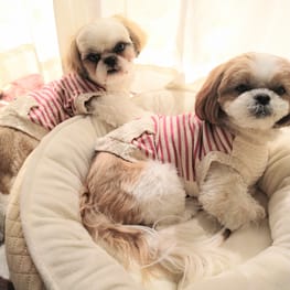 アユリナさんの作品