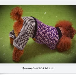 ganmoslabさんの作品