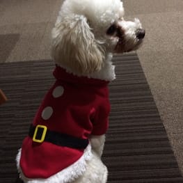 potetoさんの作品