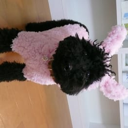 くろねこまめさんの作品