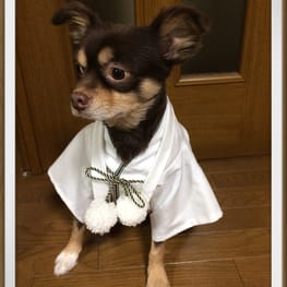 ゆきっぺさんの作品