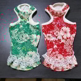 ちみさんの作品