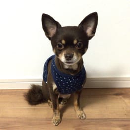 ゆずさんの作品