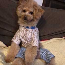 ごんままさんの作品