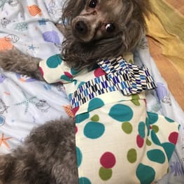 ronaelさんの作品